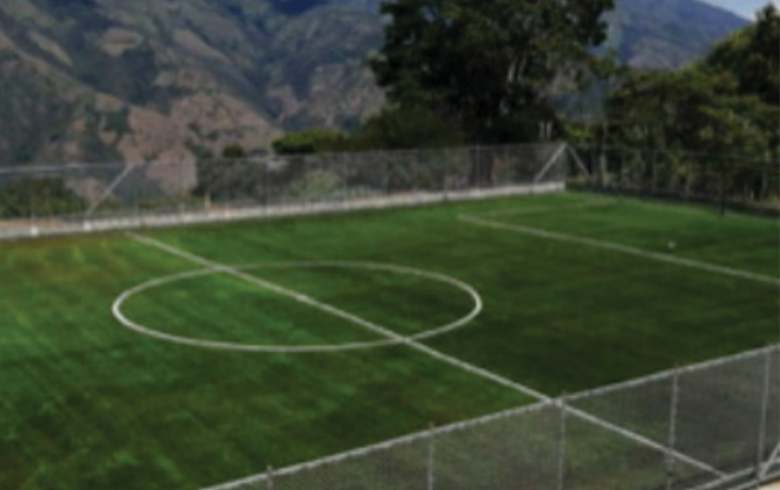 Cancha deportiva con grama sintética